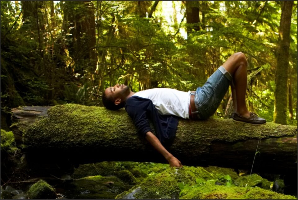 Benefits of Forest Bathing