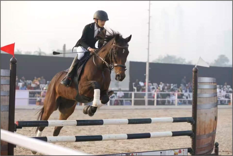 Equestrian Festival in Chandigarh